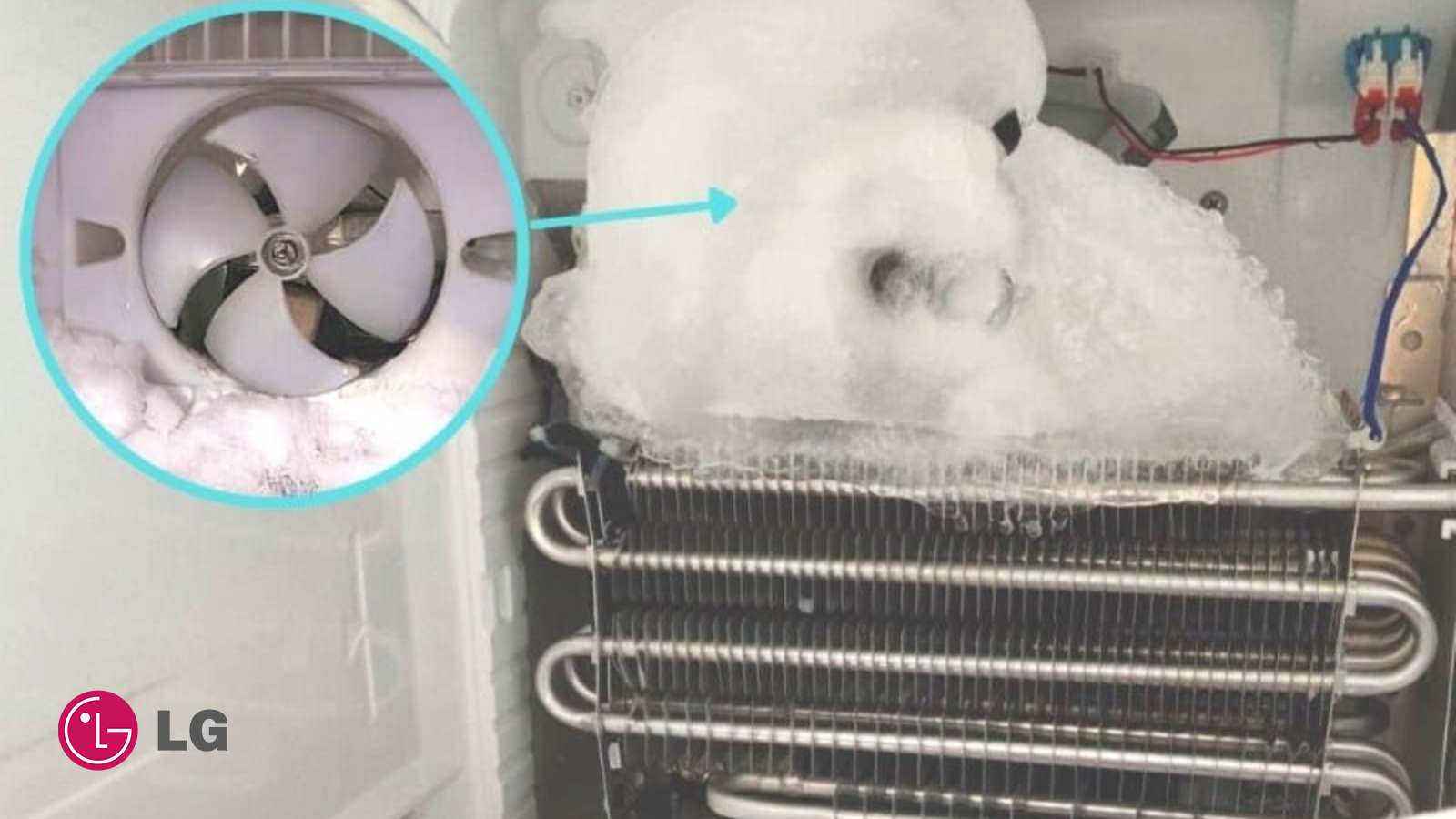 ایراد در فن اواپراتور ساید ال جی