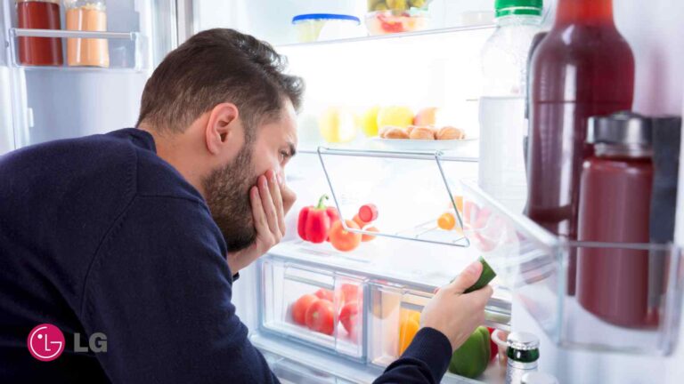 The cause of the bad smell of the LG refrigerator